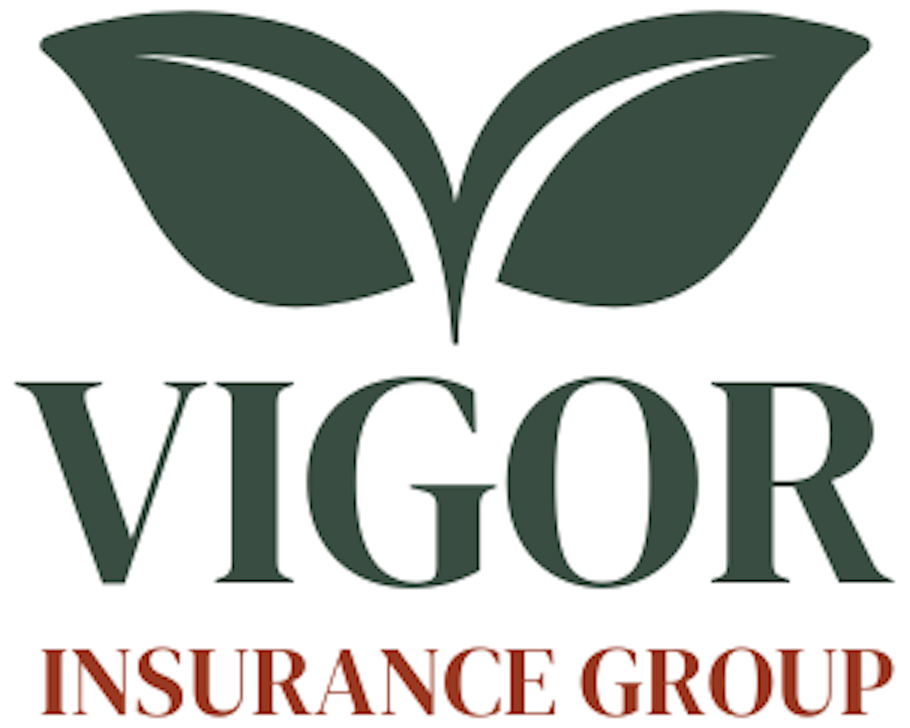 vigorinsurancegroup.com